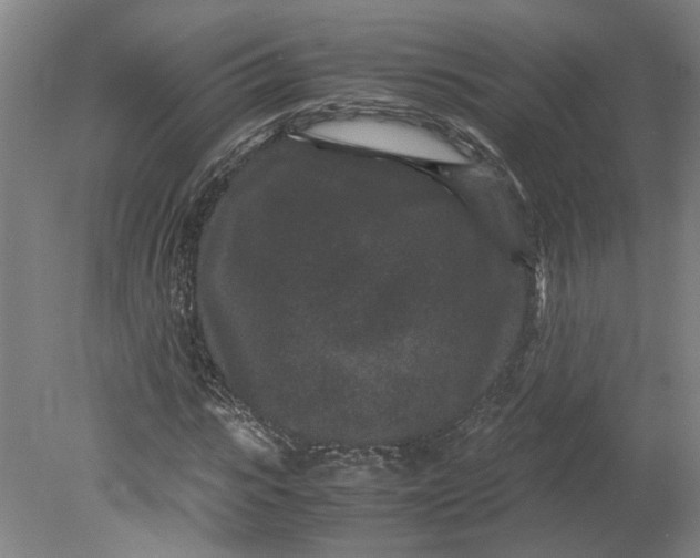 X0000080710919200701021024