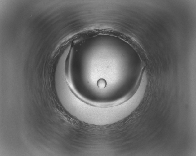 X0000080710920200701021024