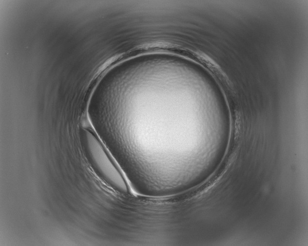 X0000080710921200701021024