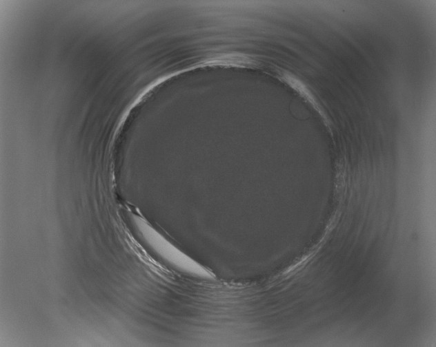 X0000080710923200701021024