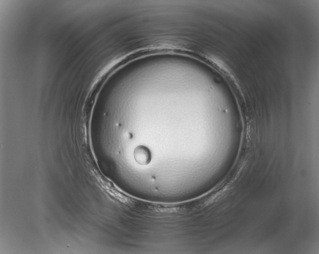 X0000080710925200701021024