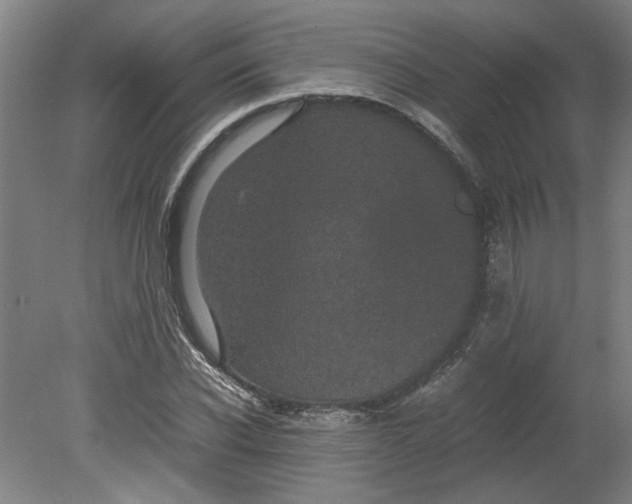 X0000080710926200701021024