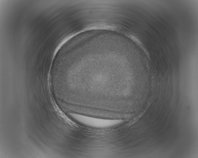 X0000080710928200701021024