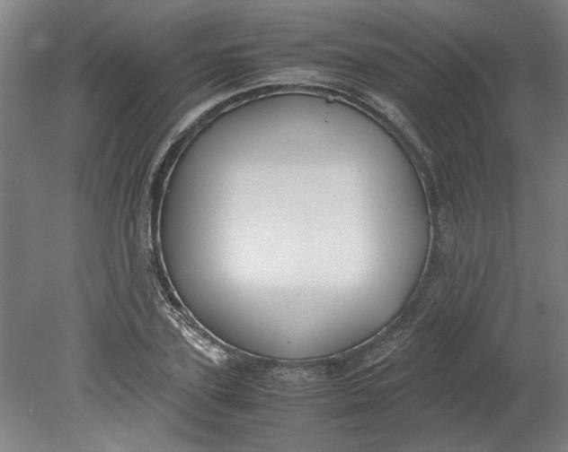 X0000080710931200701021024