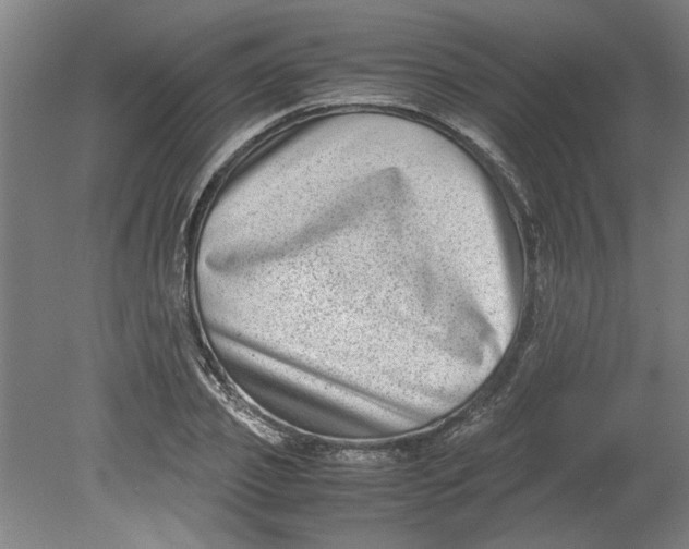 X0000080710933200701021024