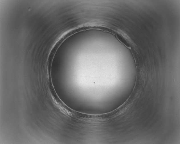 X0000080710934200701021024