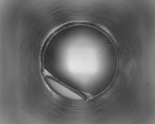 X0000080710935200701021024