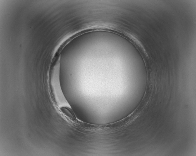 X0000080710936200701021025