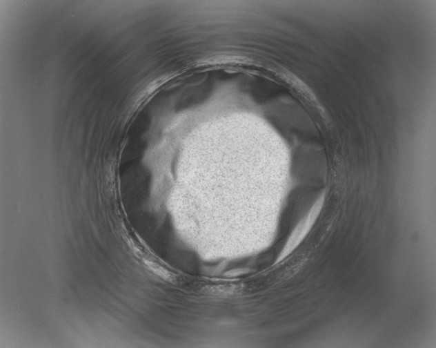 X0000080710937200701021025