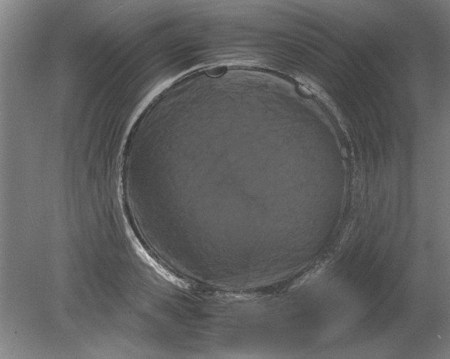 X0000080710941200701021025