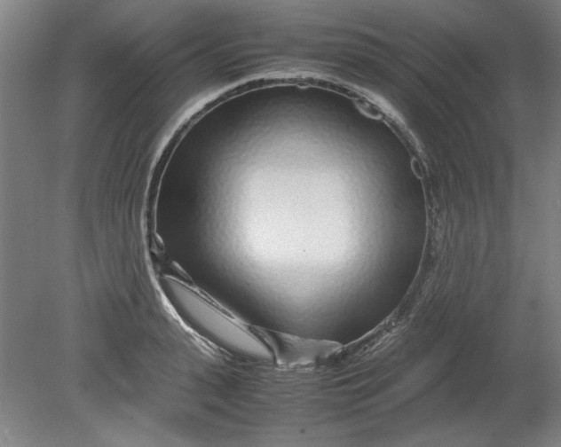 X0000080710943200701021025