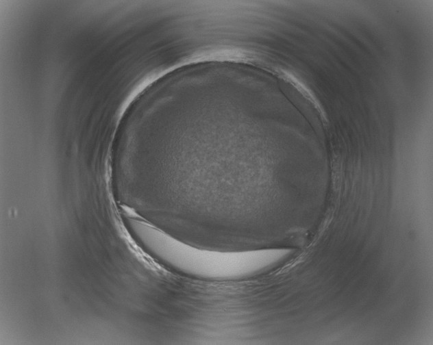 X0000080710944200701021025