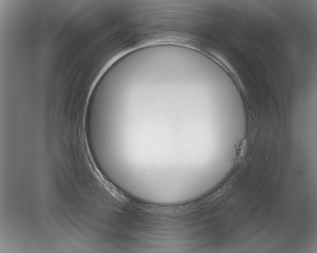 X0000080710948200701021025