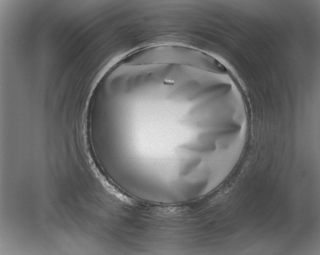 X0000080710949200701021025