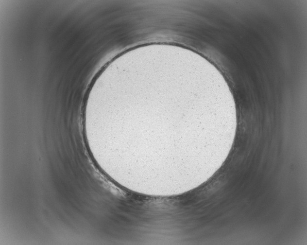 X0000080710950200701021025