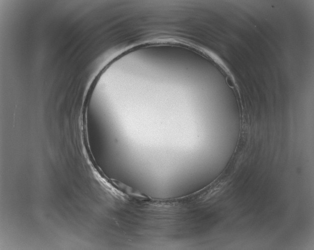 X0000080710951200701021025