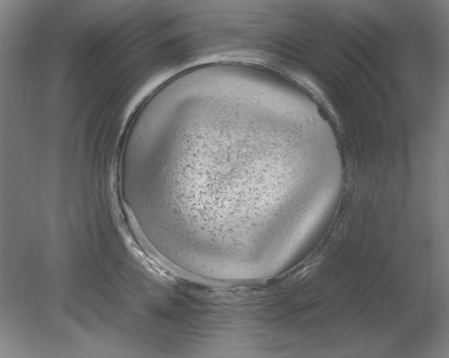 X0000080710952200701021025