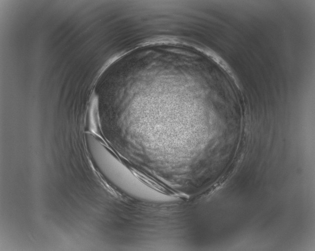 X0000080710953200701021025