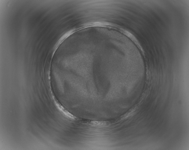 X0000080710954200701021025