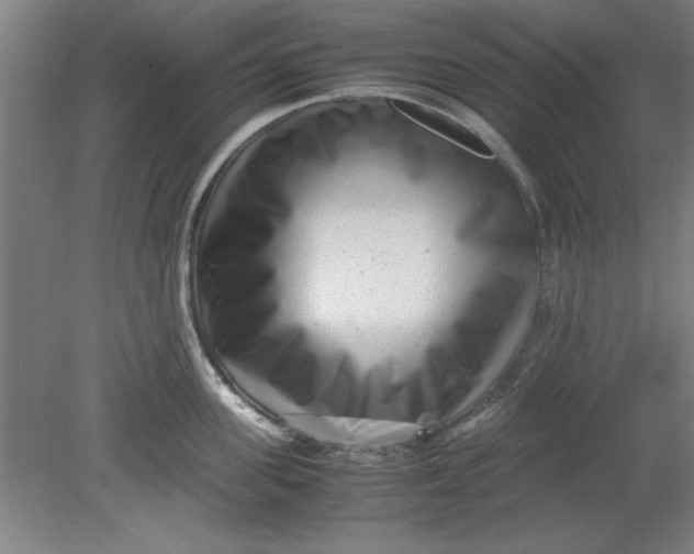 X0000080710955200701021025