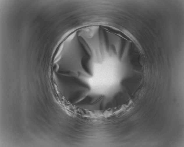 X0000080710956200701021025