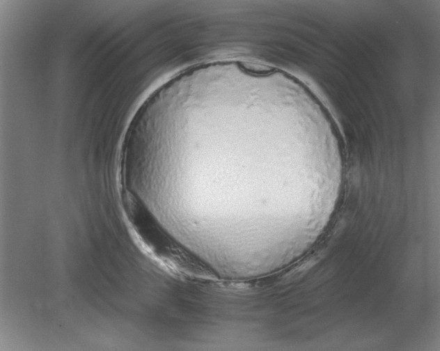 X0000080710957200701021025