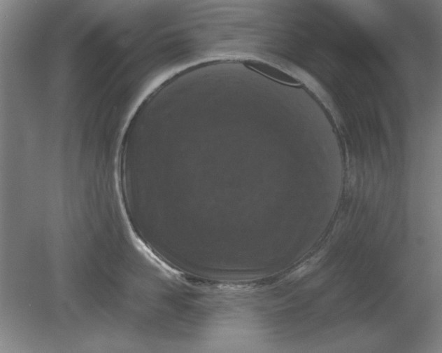 X0000080710958200701021025