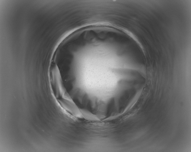 X0000080710959200701021025