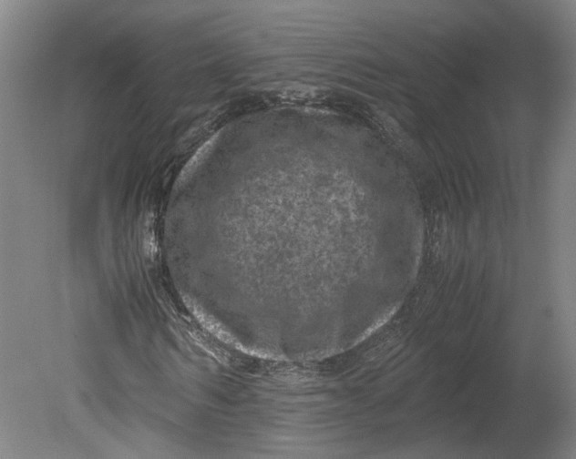 X0000080710962200701021024