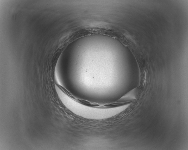 X0000080710965200701021024