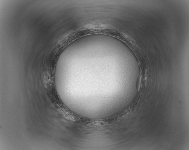 X0000080710966200701021024