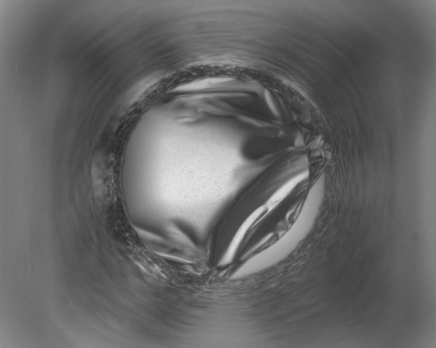 X0000080710968200701021024