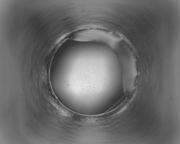 X0000080710969200701021024