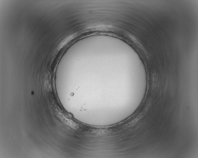 X0000080710970200701021024