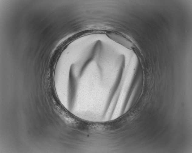 X0000080710971200701021024