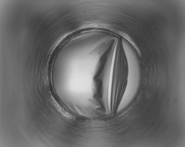 X0000080710972200701021024