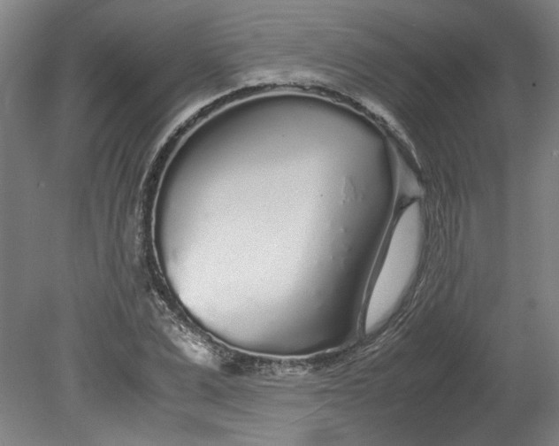 X0000080710975200701021024