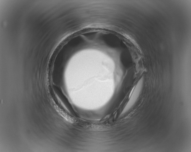 X0000080710976200701021024