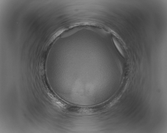 X0000080710977200701021024