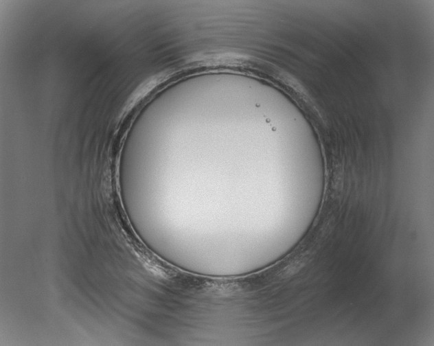 X0000080710978200701021024