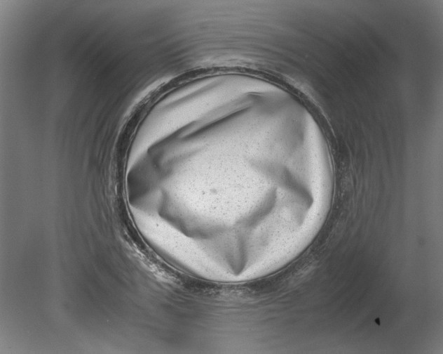 X0000080710979200701021024