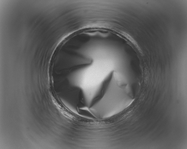 X0000080710980200701021024