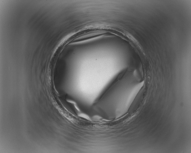 X0000080710981200701021024