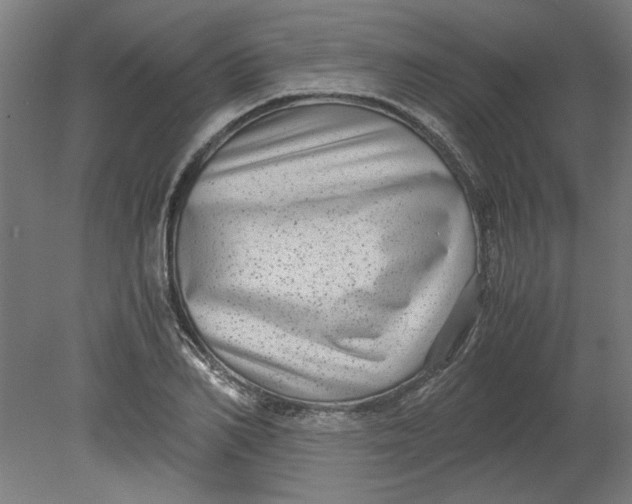 X0000080710982200701021024