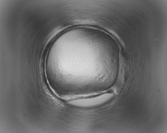 X0000080710983200701021024