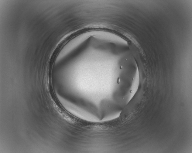 X0000080710984200701021024