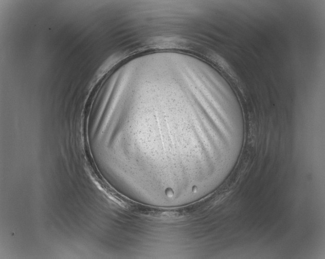 X0000080710986200701021024