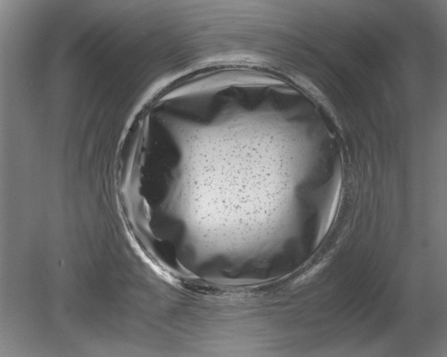 X0000080710989200701021024