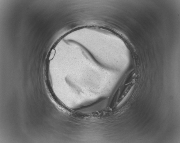 X0000080710991200701021024