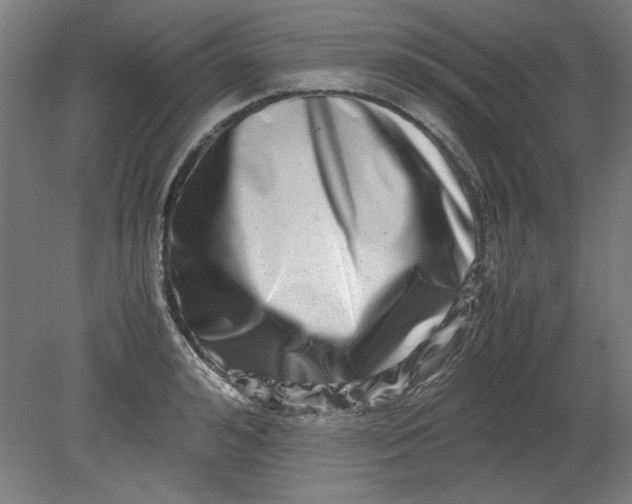 X0000080710992200701021024